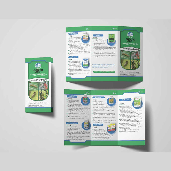 Brochure Design